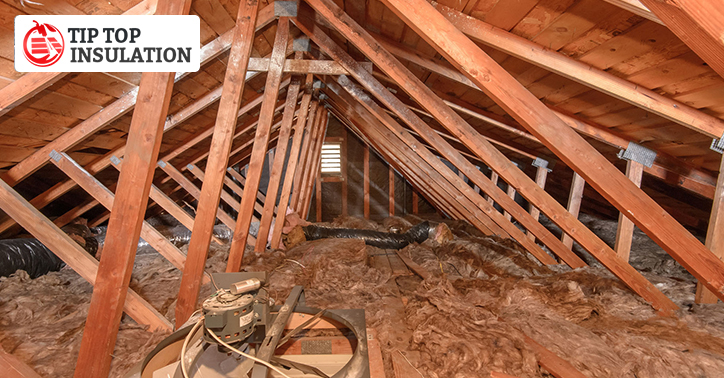Insulation Removal Cleanup